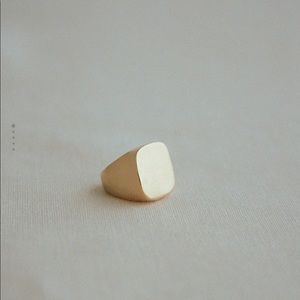 Zara Limited Edition Maxi Signet Ring